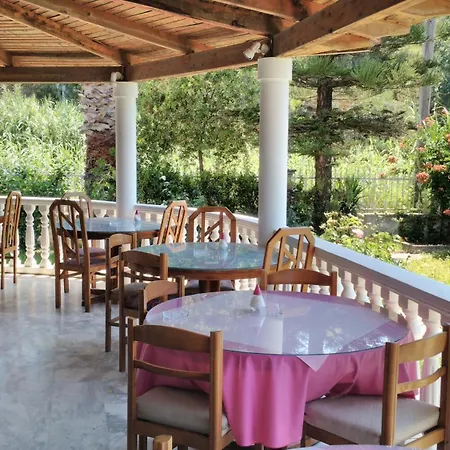 Sydney 扎金索斯镇